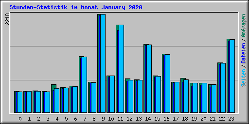 Stunden-Statistik im Monat January 2020