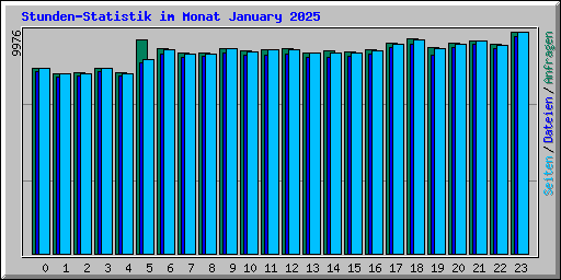 Stunden-Statistik im Monat January 2025